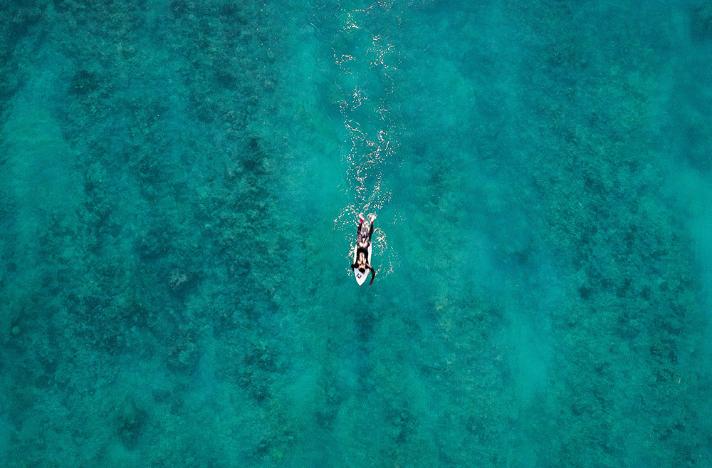 surfer paddling